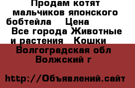 Продам котят мальчиков японского бобтейла. › Цена ­ 30 000 - Все города Животные и растения » Кошки   . Волгоградская обл.,Волжский г.